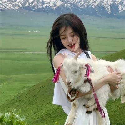 图书馆员第二季
