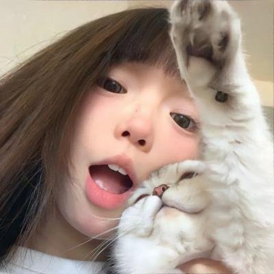圣母疯